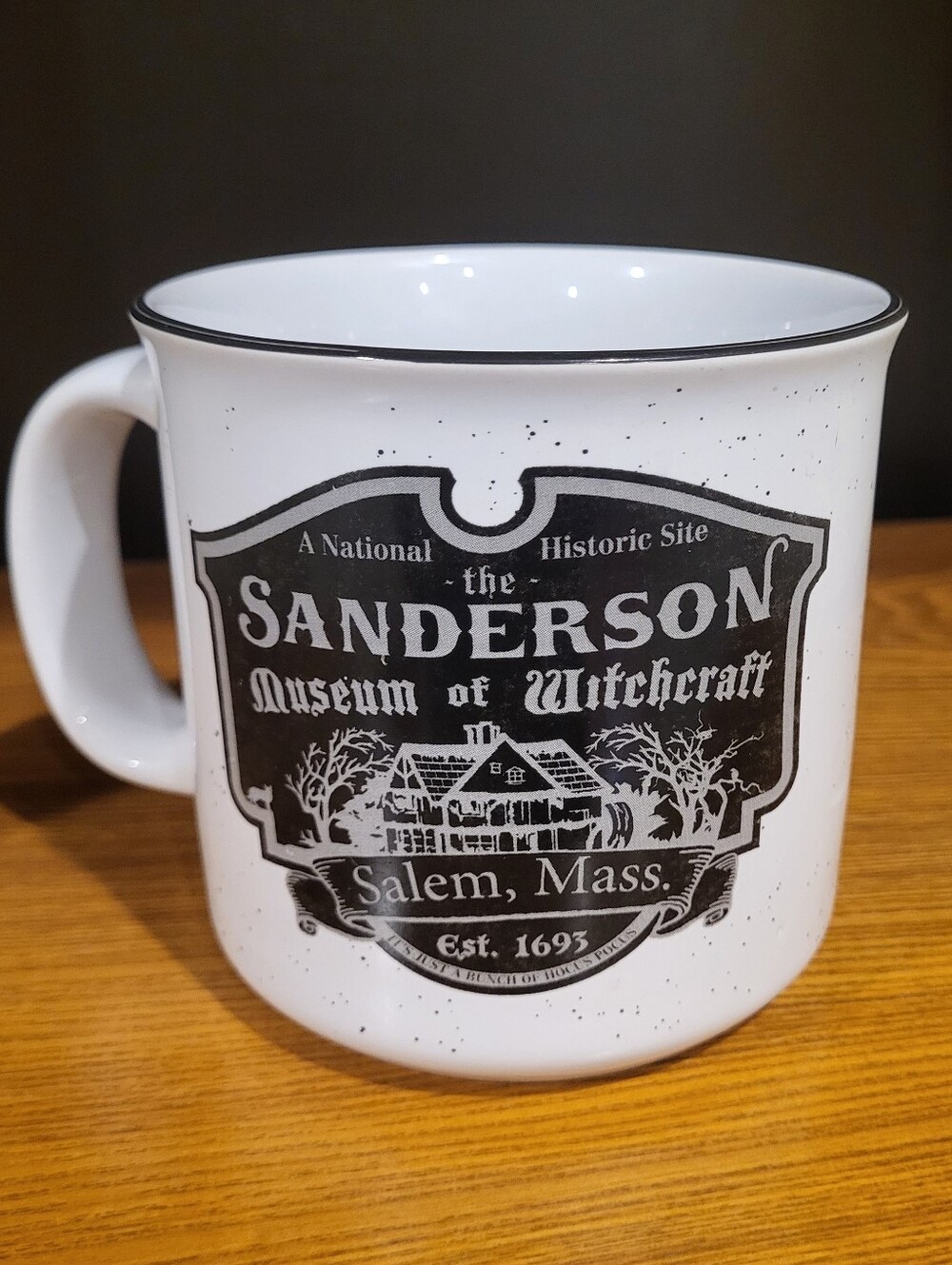 Disney Hocus Pocus Sanderson Sisters 20 oz Mug